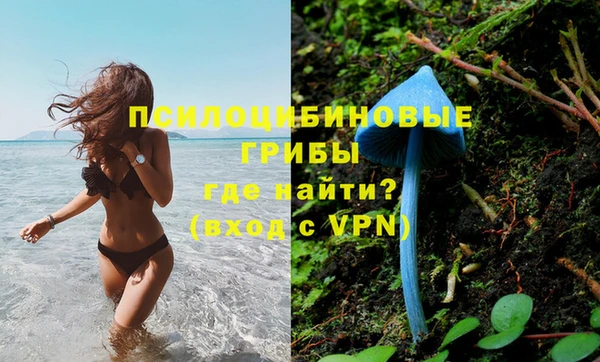 каннабис Алзамай