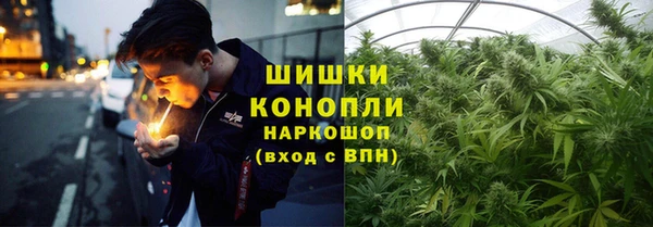 прущий лед Арсеньев