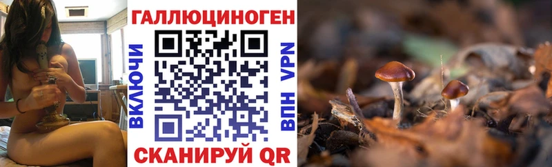 что такое   Белокуриха  mega ссылки  Псилоцибиновые грибы GOLDEN TEACHER 